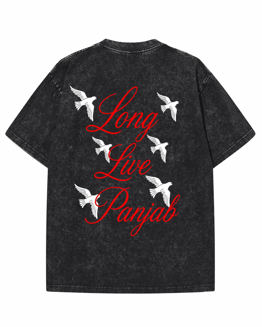 "Long Live Panjab" Vintage Wash Graphic Tee – White Doves & Cursive Script Streetwear T-Shirt